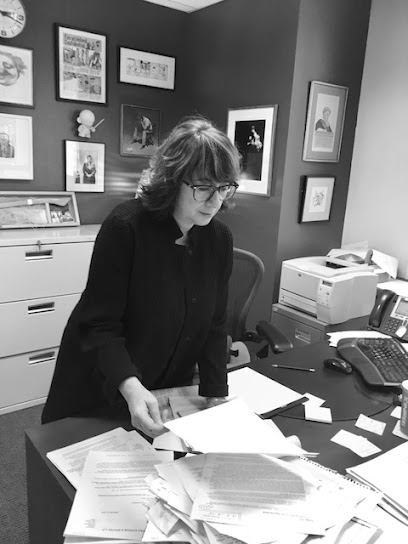 The Law Office of Lisa Pelosi