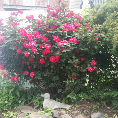 Mary Beth Reinecker Esquire