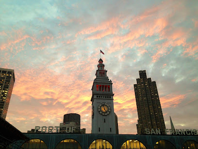 Michael J Perona DDS