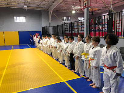 World class mma and judo