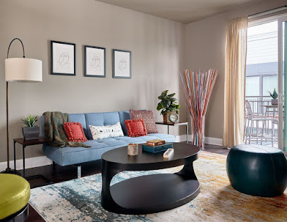 Sunlight Cleaning Service New York